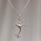 Neuron Nerve Cell