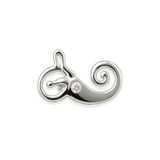 Delicate charms audiology ENT ear anatomy malleus, or hammer, the incus, or anvil, and the stapes