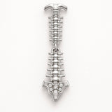 Spinal Column Vertebral Anatomy