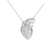 Heart Anatomy