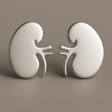 Pair Of Kidneys Delicate Charms Kidney Earrings Kidney enamel pin.Nephrology urology kidneys