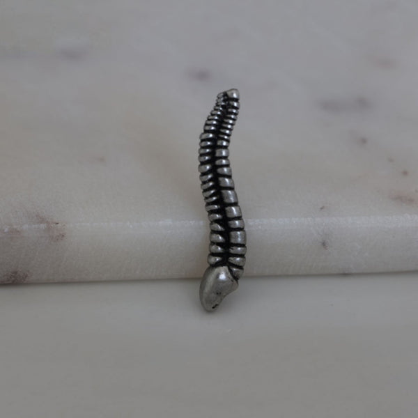 delicate charms neurologist spine orthopedic