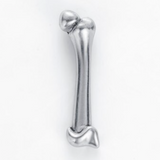 Delicate Charms Human Femur Pin, Skeleton Pin, Orthopedics Pin, Anatomy Body Parts Femur Bone Model RealisticDelicate Charms Texture and Important Bony Landmarks