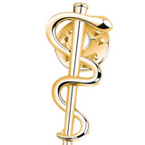 Delicate Charms rod of asclepius Medicine Snake Caduceus Nursing Gift for Doctor Nurse Therapeutist