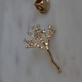 Penicillin Antibiotic