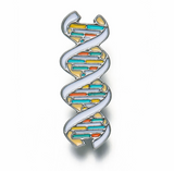 Double Helix / DNA Hard Enamel Delicate Charms