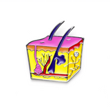 Delicate Charms Plastic Surgeon Gifts, Skin Lapel Pin Skin, Dermatologist Gift, Anatomy and Cell Lapel Pins