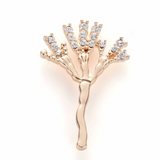 Delicate Charms penicillin NP PA nurse doctor medical student antibiotics