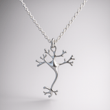 Neuron Nerve Cell