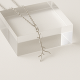 Spindle Neural Current