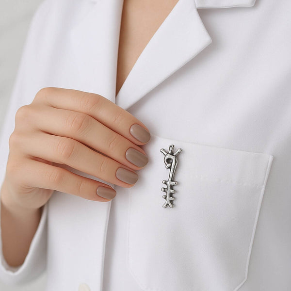 Delicate Charms Aorta Anatomy Circulatory System Cardio Aorta Anatomy vascular surgeon gift aorta cardiologist Cardiothoracic surgeon gift 