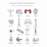 Anatomy Archive Collectors Set