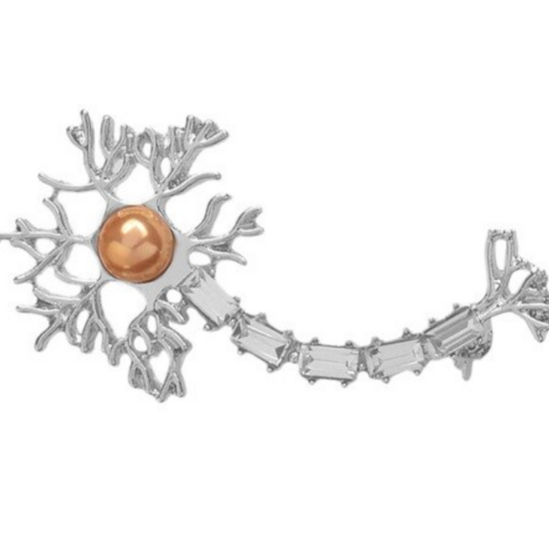  Delicate Charms neuron pin gifts for neuropsychologists