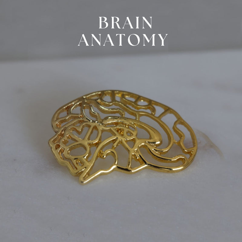 Brain