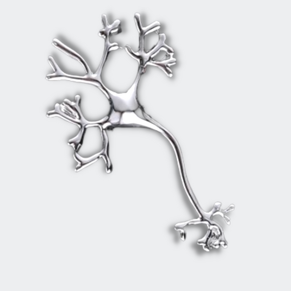  Delicate Charms Neuron Nerve Cell Silver and Golden Nerve Cell Neuron