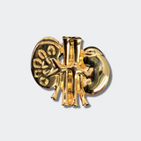  Delicate Charms nephrologist gifts transplant anniversary ideas