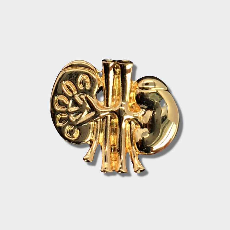  Delicate Charms nephrologist gifts transplant anniversary ideas