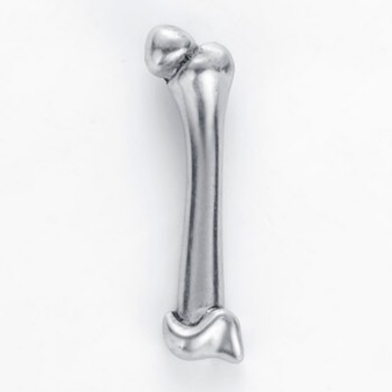 Delicate Charms Human Femur Pin, Skeleton Pin, Orthopedics Pin, Anatomy Body Parts Femur Bone Model RealisticDelicate Charms  Texture and Important Bony Landmarks