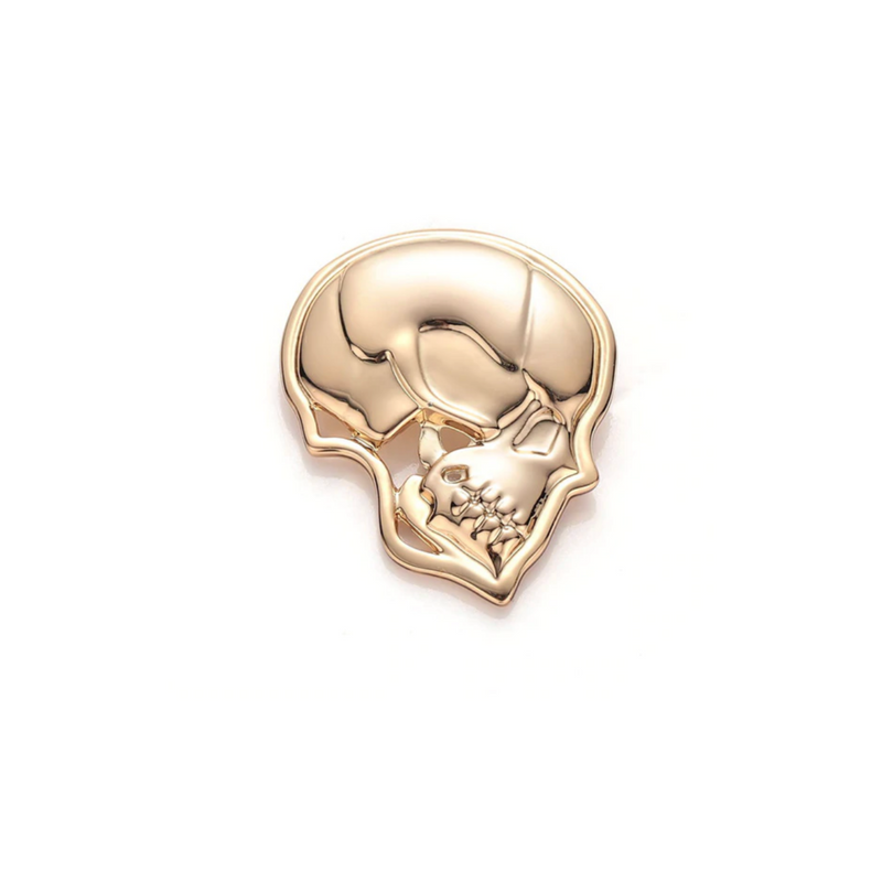 skull anatomy pin