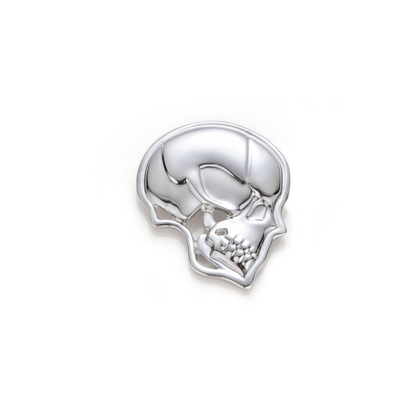 anatomy gift pin skull bones pin