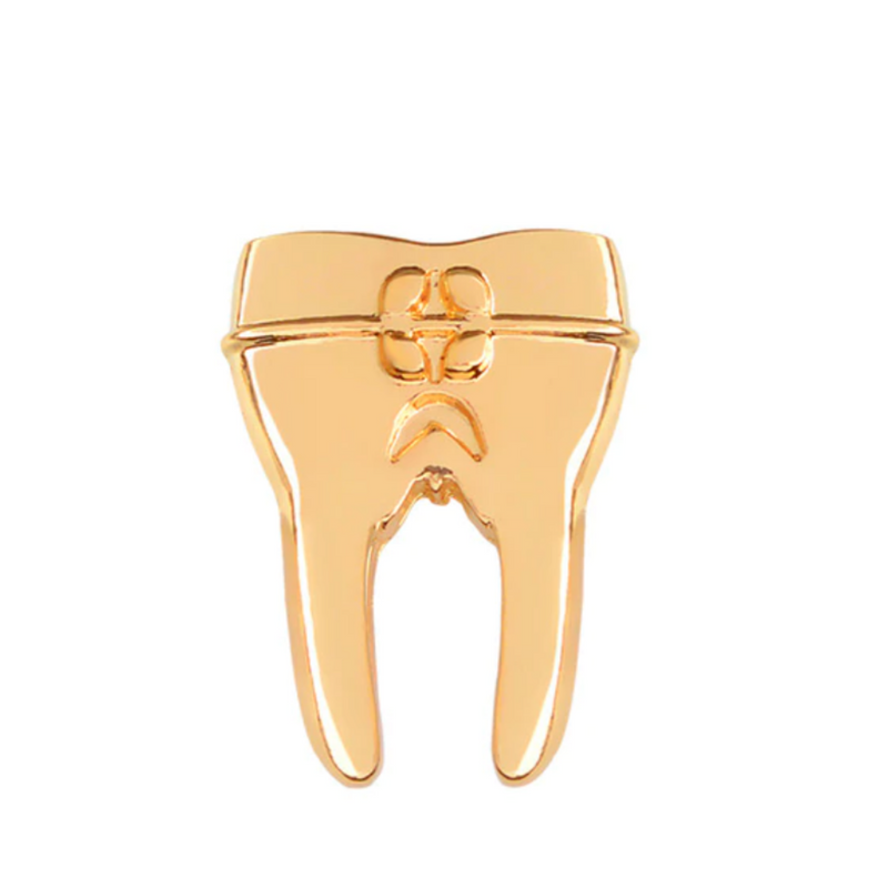 Delicate Charms Dental Assistant Pin Tooth Brooch Pins Gift for Dentist Hygienist Graduation Jewelry Gifts Medical Student Gifts