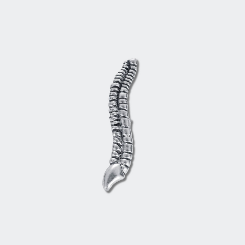 Delicate Charms Thoracic lumbar cervical Vertebrae Lapel Pin Chiropractor and Anatomy Pins- Spine, Neuromuscular and Alternative Medicine Lapels