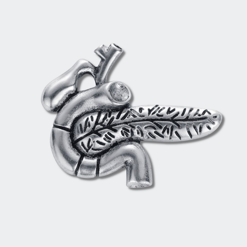 Delicate Charms pancrea pin Pancreas enamel pin Medical Pin Anatomy Pins Nurses Doctors Gastroenterologist colon Hepatologist Endocrinologist MD,RN Pancreas Surgeon Pin