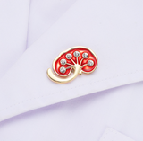 Pair Of Kidneys Delicate Charms Kidney Earrings Kidney enamel pin.Nephrology  urology kidneys