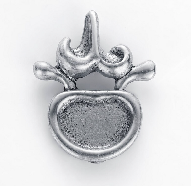 Delicate Charms Spine vertebrae Vetebral Body Neurology Anatomy Orthopedic neurology internal medicine surgery back spinal column
