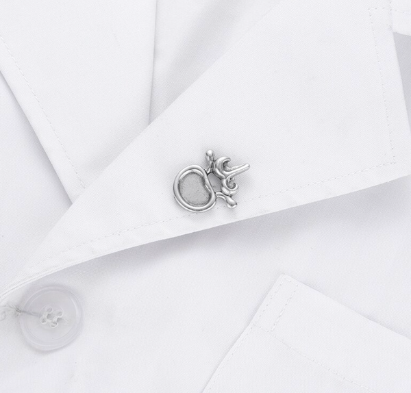Delicate Charms Spine vertebrae Vetebral Body Neurology Anatomy Orthopedic neurology internal medicine surgery back spinal column