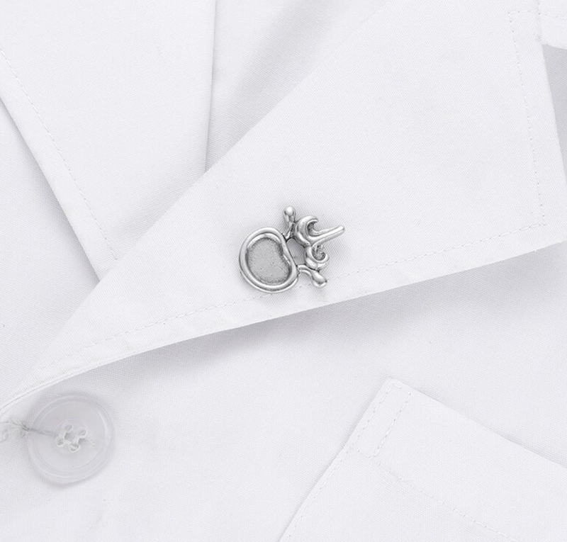 Delicate Charms Spine vertebrae Vetebral Body Neurology Anatomy Orthopedic neurology internal medicine surgery back spinal column