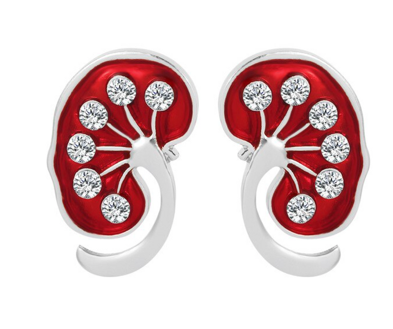 Pair Of Kidneys Delicate Charms Kidney Earrings Kidney enamel pin.Nephrology  urology kidneys