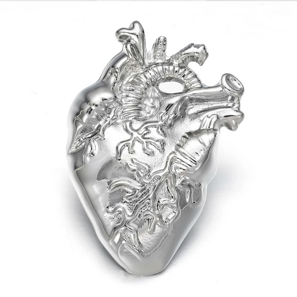 Heart Anatomy Gift Cardio Cardiology Delicate Charms