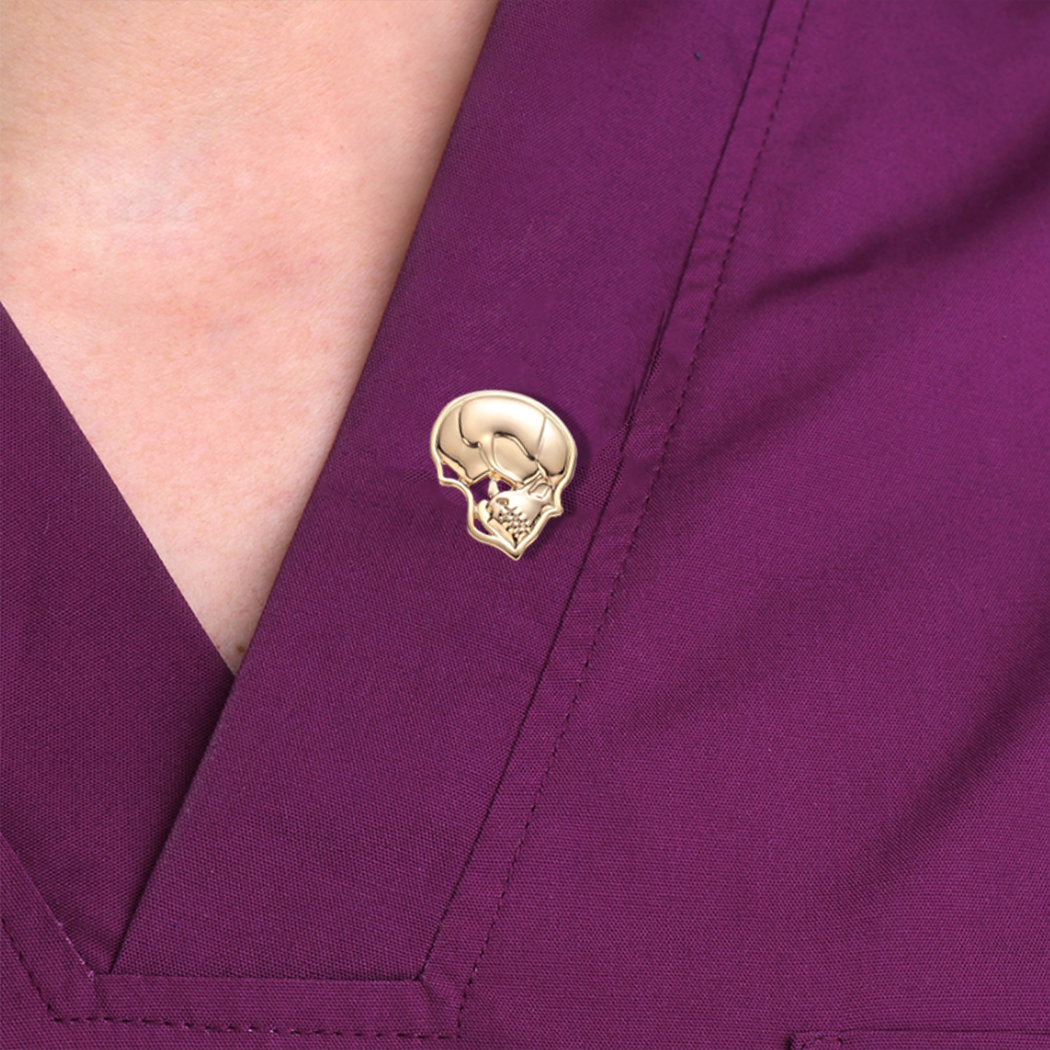 Skull Bone Anatomy – Delicate Charms