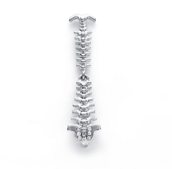 Delicate Charms Axis Flexible Spine Spinal column Spine Backbone Vertebrae Lapel Pin Chiropractor and Anatomy Spine, Neuromuscular Alternative Medicine