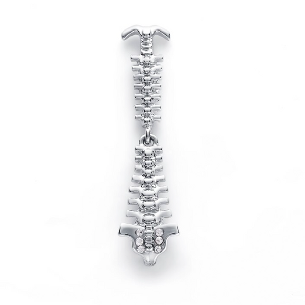 Spinal Column Vertebral Anatomy – Delicate Charms