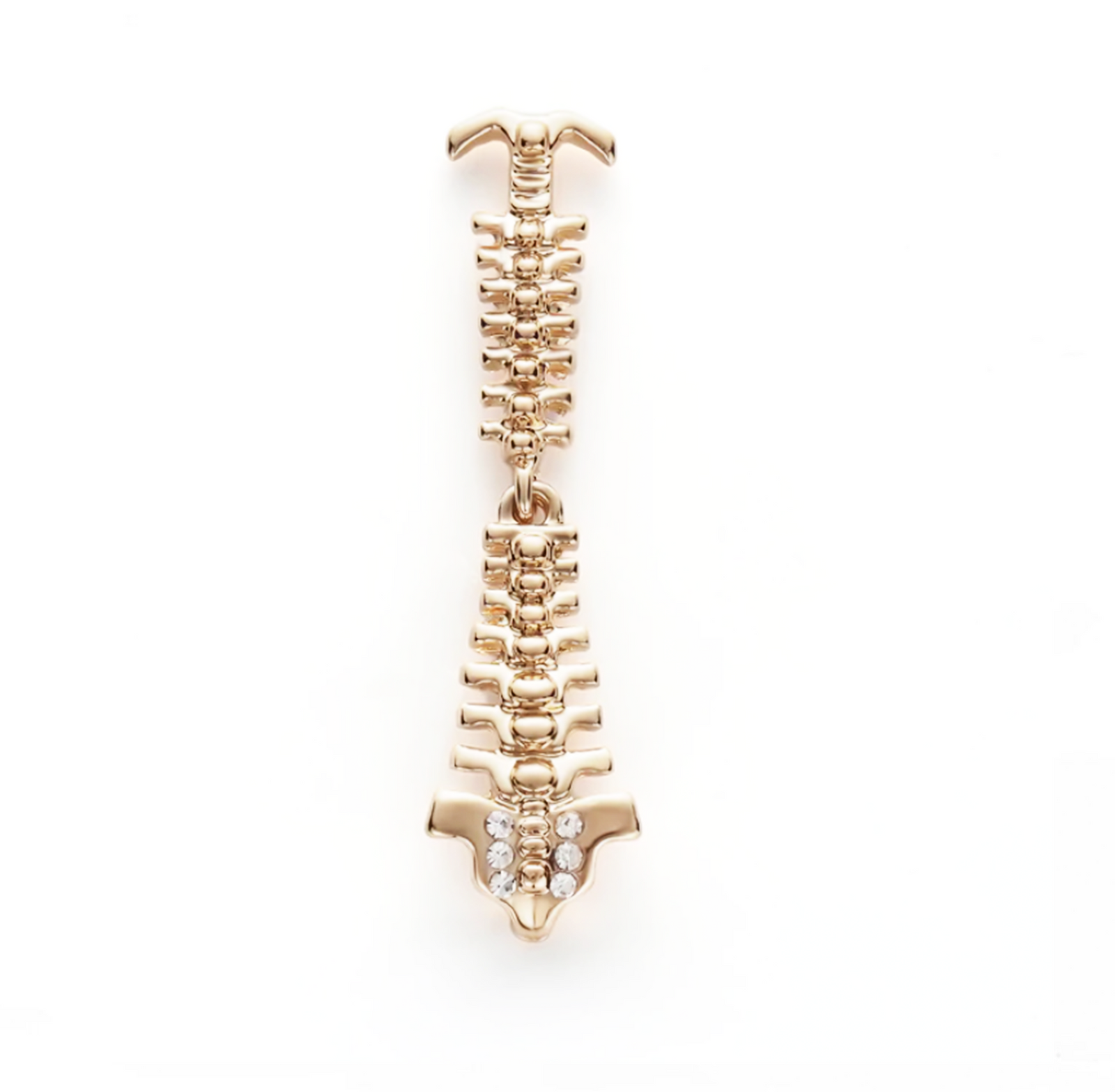 heresSPINAL COLUMN BRACELET 301
